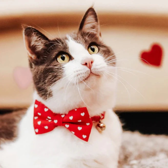 ¨LOVE SONG¨ RED HEART CAT COLLAR & BOWTIE