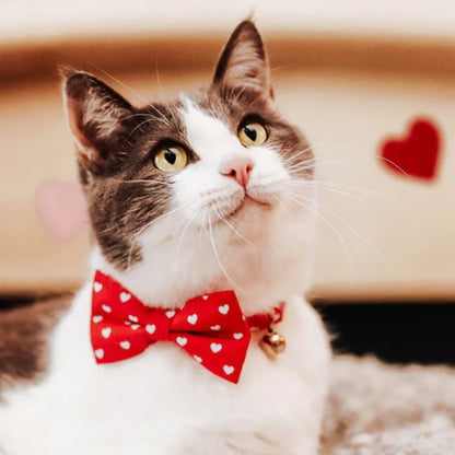 ¨LOVE SONG¨ RED HEART CAT COLLAR & BOWTIE