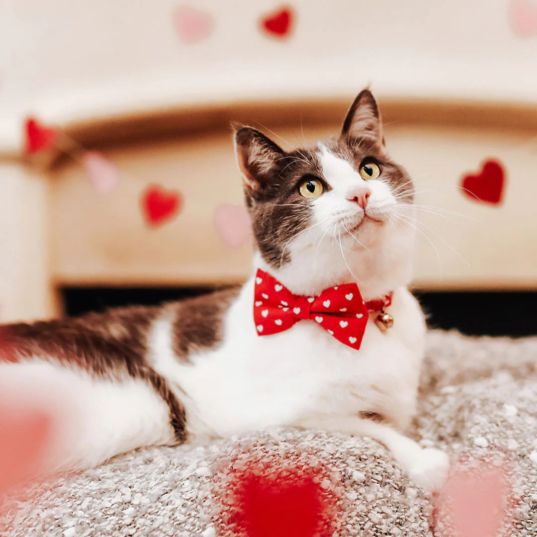 ¨LOVE SONG¨ RED HEART CAT COLLAR & BOWTIE