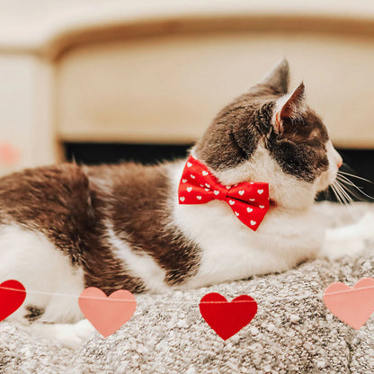 ¨LOVE SONG¨ RED HEART CAT COLLAR & BOWTIE