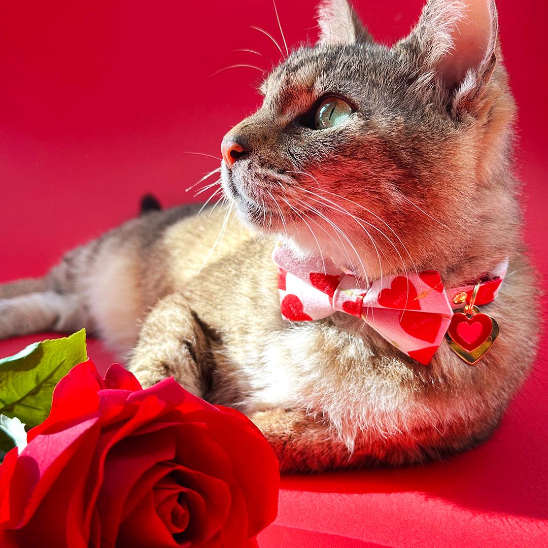 ¨LOVESTRUCK¨RED & PINK CUPID HEARTS BOW TIE