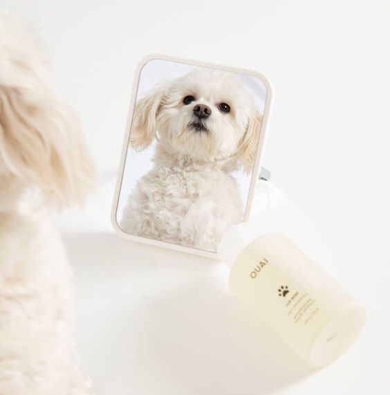 OUAI FUR BEBE PET SHAMPOO