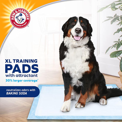 ARM & HAMMER DOG TRAINING PADS