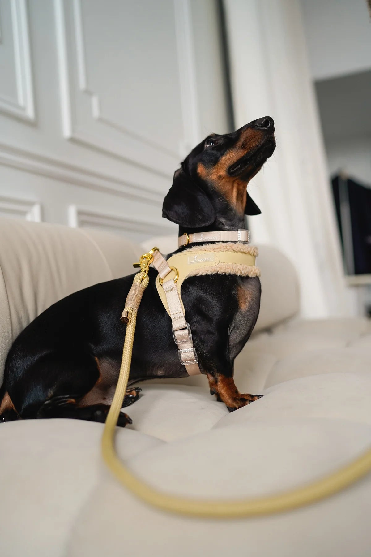 BRAIDED ROPE LEASH BEIGE