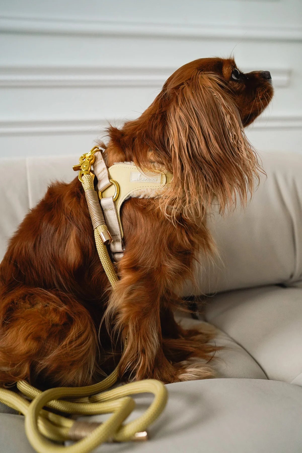 BRAIDED ROPE LEASH BEIGE