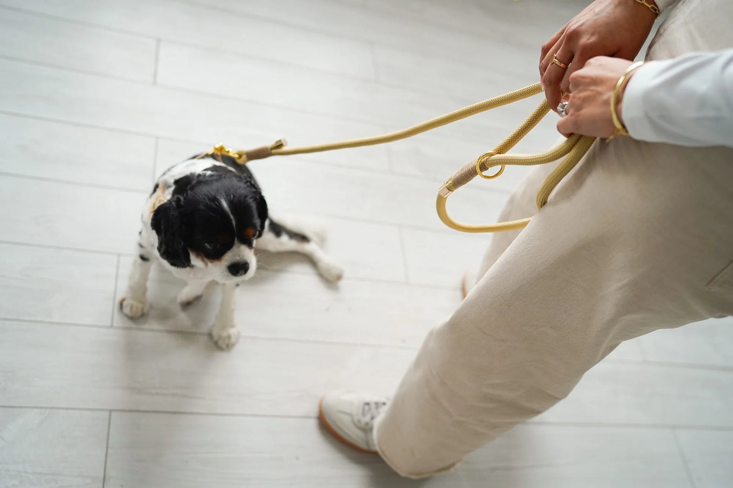 BRAIDED ROPE LEASH BEIGE