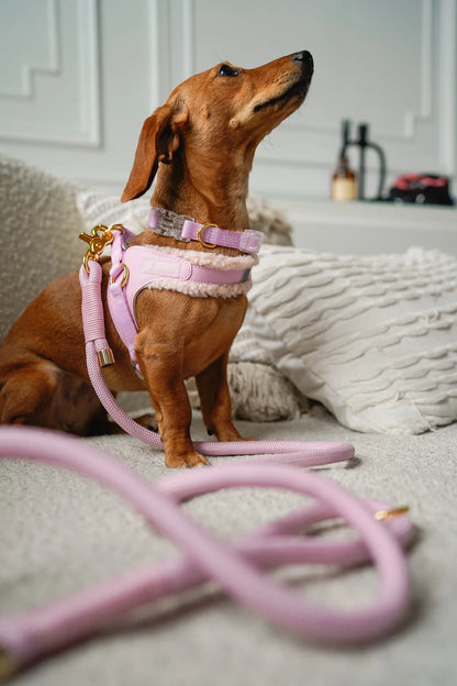 BRAIDED ROPE LEASH PINK