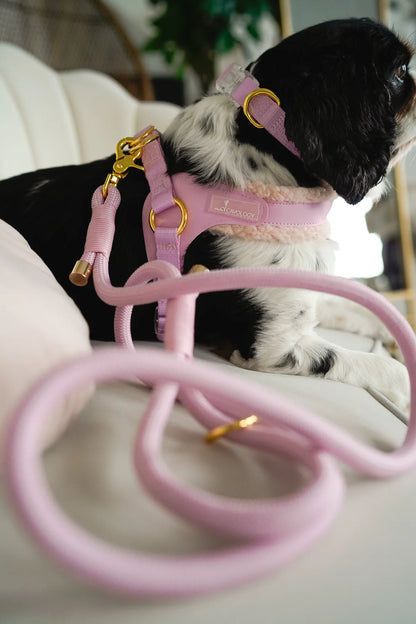 BRAIDED ROPE LEASH PINK