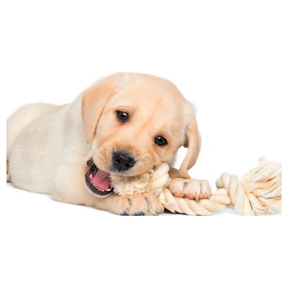 BARIDA 100% NATURAL COTTON DOG ROPE TOY