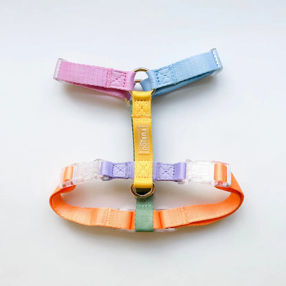 RAINBOW DOG HARNESS