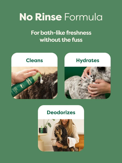 EARTH RATED NO-RINSE DOG SHAMPOO
