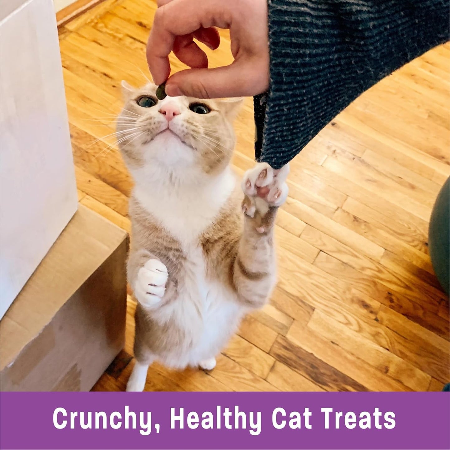 WELLNESS KITTLES CAT TREAT SALMON & CRANBERRY