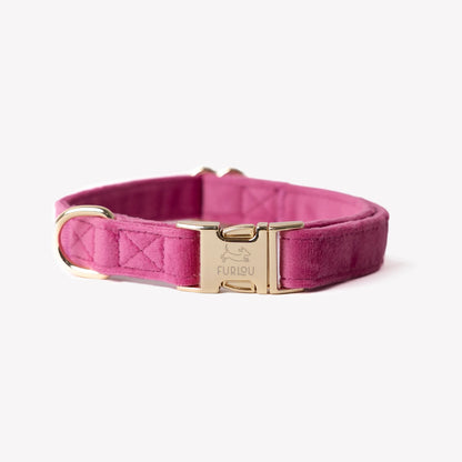 MAGENTA VELVET COLLAR