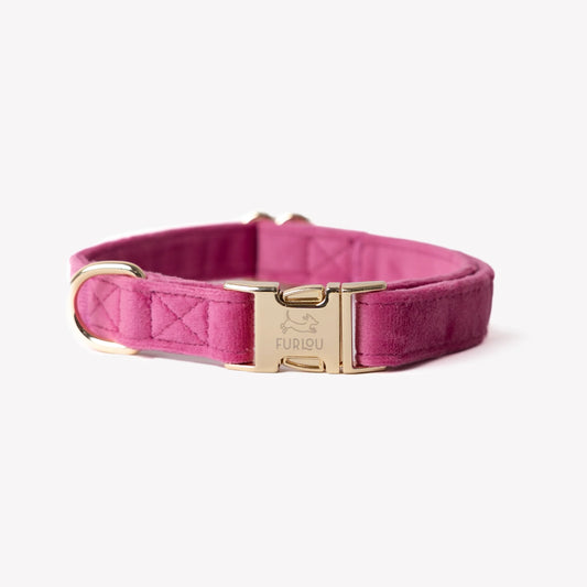 MAGENTA VELVET COLLAR