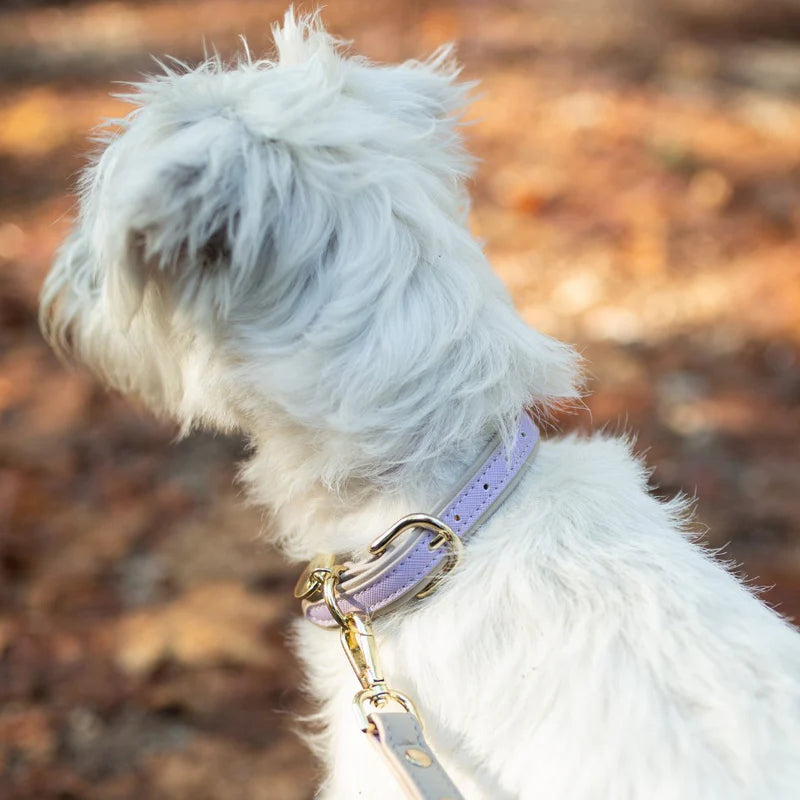NINA WOOF COLLAR VEGAN LEATHER LONDON