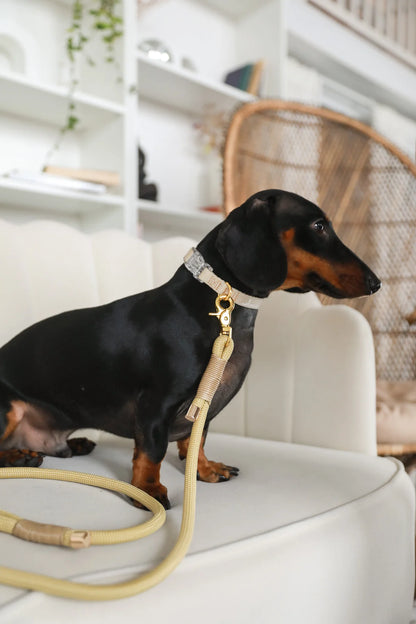 COLLAR- EVERYDAY GOLD BEIGE