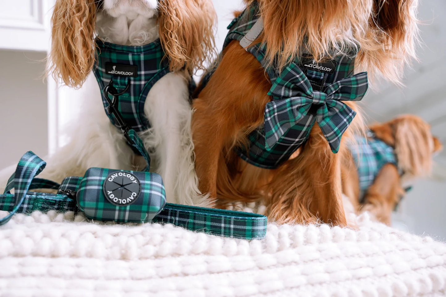 LEASH - GREEN PLAID TARTAN
