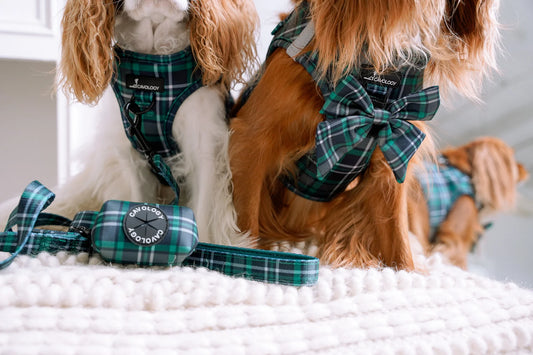 LEASH - GREEN PLAID TARTAN