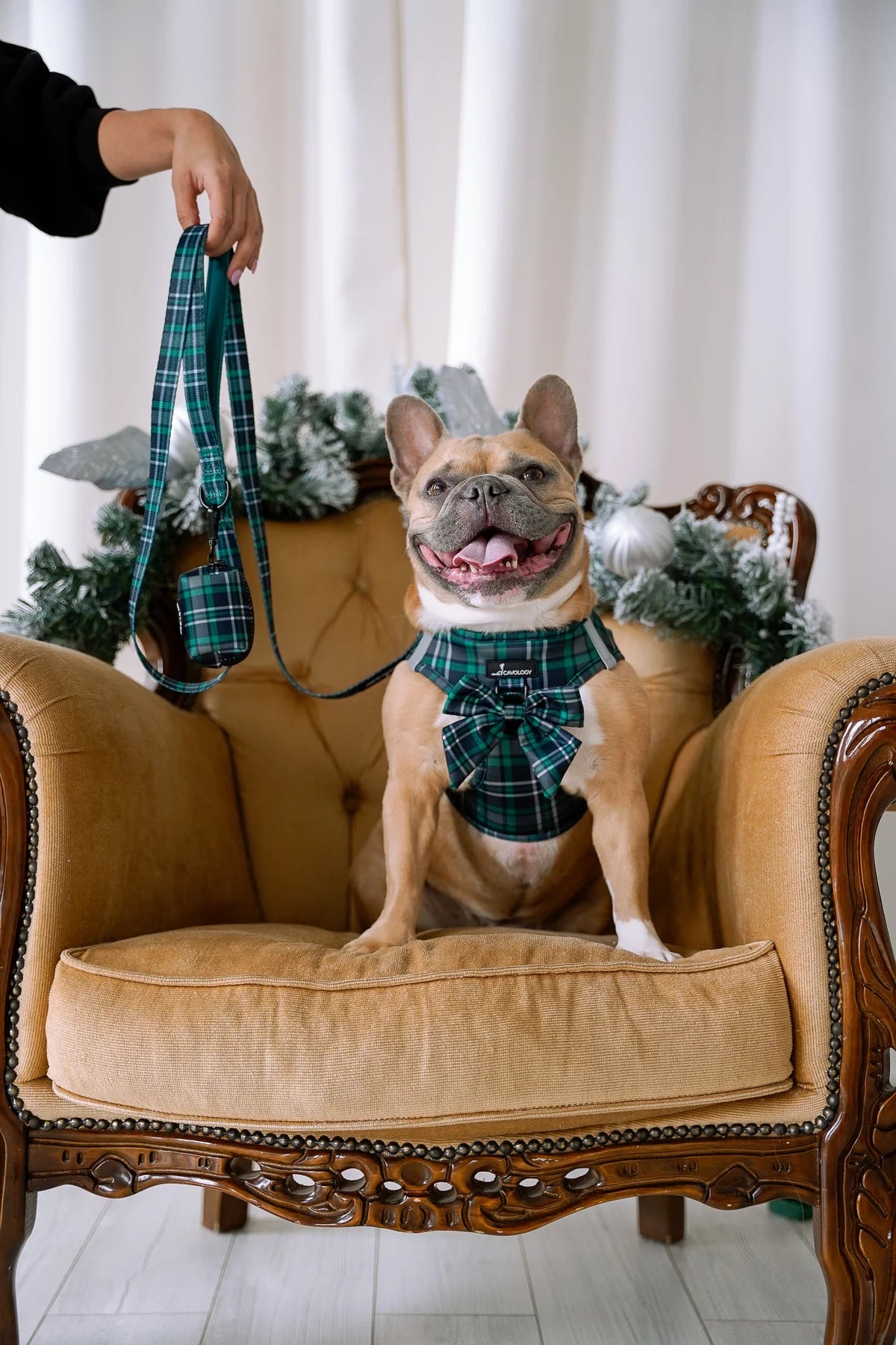 VEST STEP IN HARNESS - GREEN PLAID TARTAN