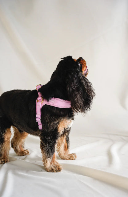 EASY-O STEP IN HARNESS PINK