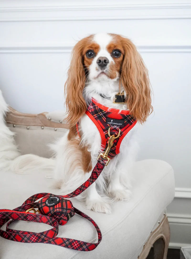 VEST STEP IN HARNESS - RED PLAID TARTAN