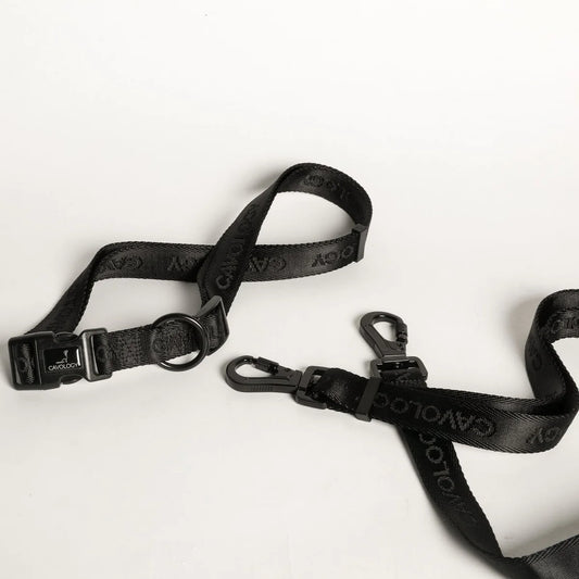 DOG LEASH HANDS FREE MULTIWAY