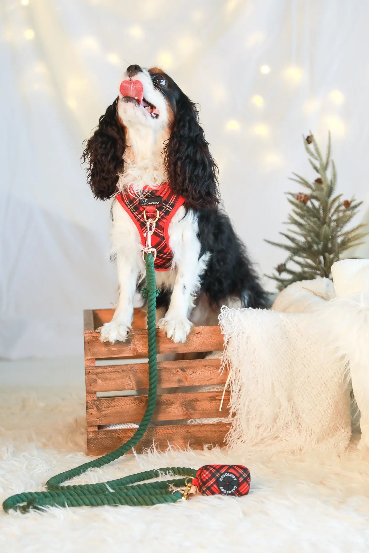 VEST STEP IN HARNESS - RED PLAID TARTAN