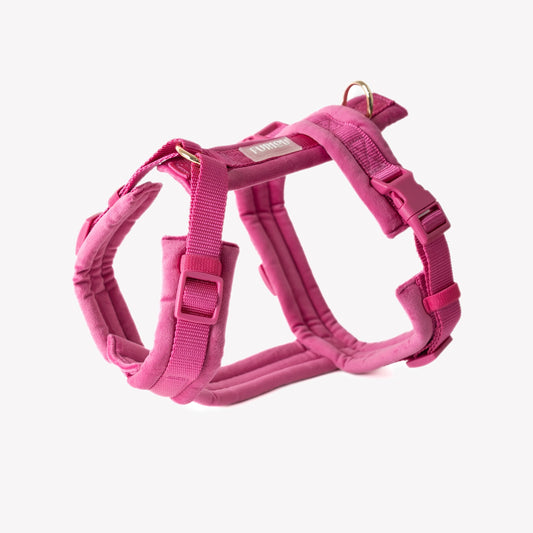 MAGENTA VELVET DOG HARNESS