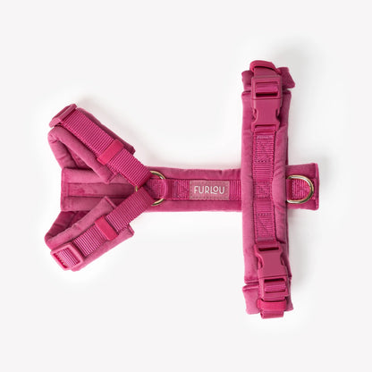 MAGENTA VELVET DOG HARNESS