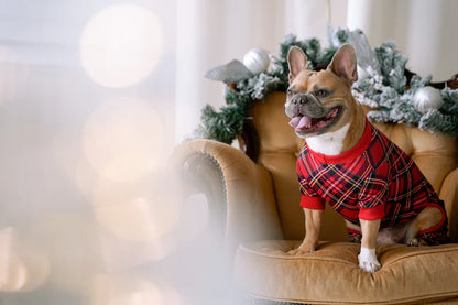 DOG PYJAMAS RED PLAID TARTAN