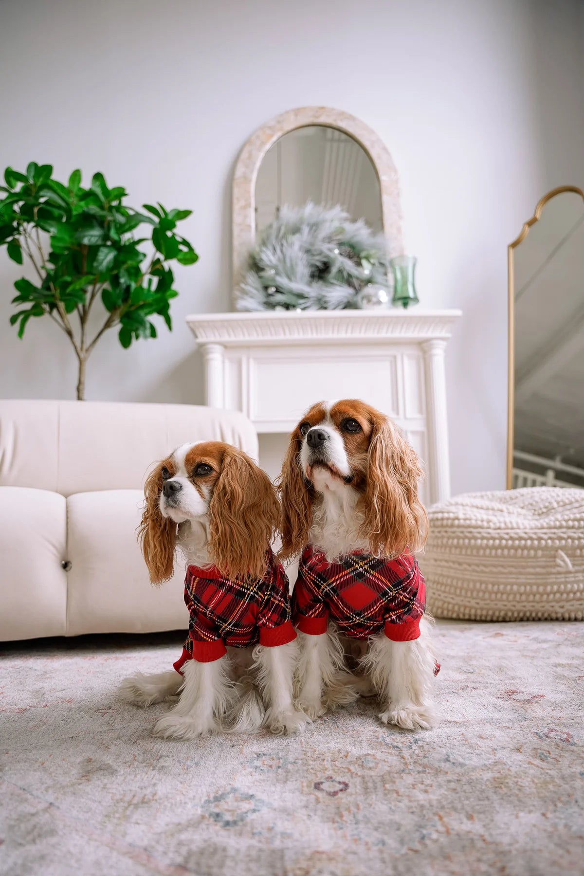 DOG PYJAMAS RED PLAID TARTAN