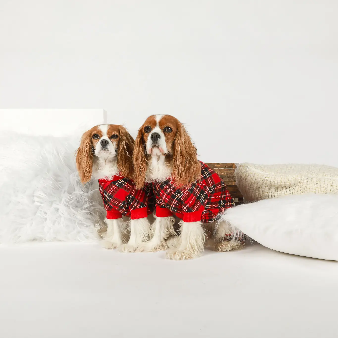 DOG PYJAMAS RED PLAID TARTAN