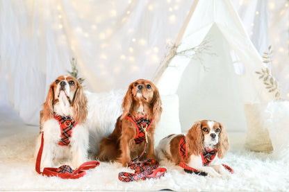 LEASH - RED PLAID TARTAN