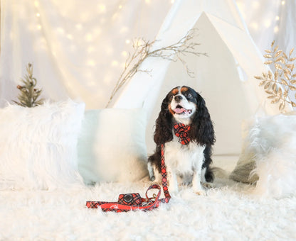 LEASH - RED PLAID TARTAN