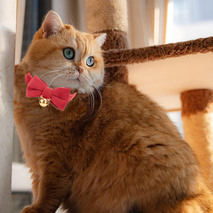 CAT COLLAR RED