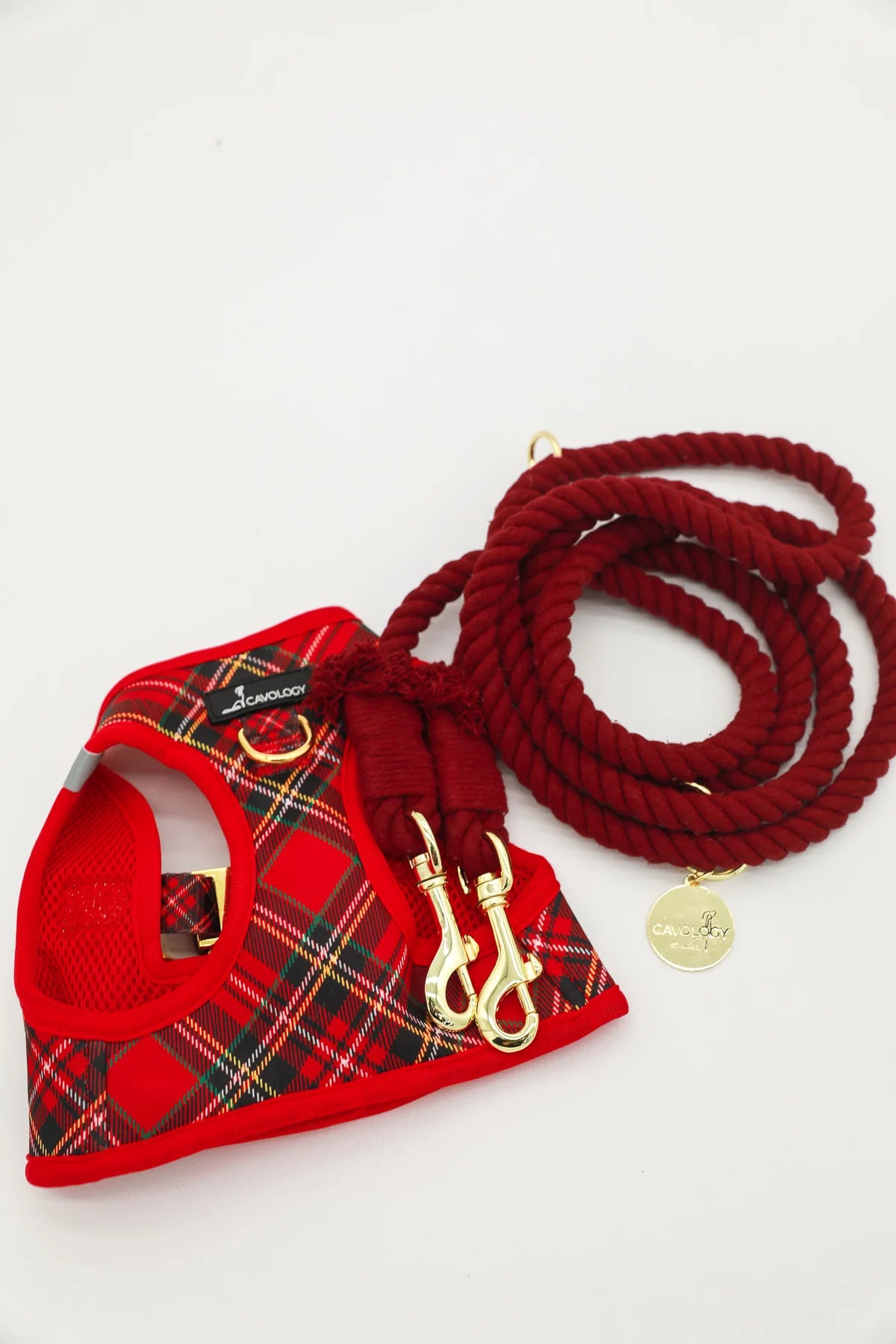 ROPE LEASH - CRIMSON RED