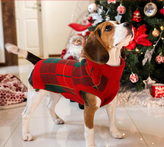 DOG CHRISTMAS SWEATER